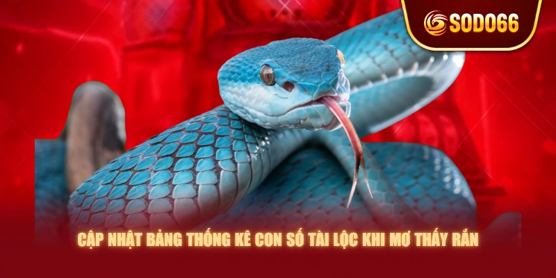 Cập nhật bảng thống kê con số tài lộc khi mơ thấy rắn