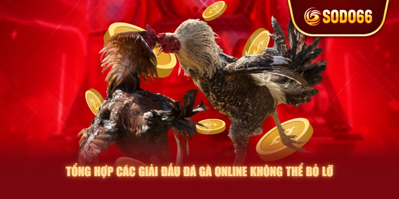 Tổng hợp các giải đấu đá gà online không thể bỏ lỡ